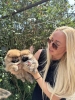 Pomeranac