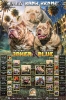 American Bully Ženka je stara 15 meseci
