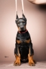 Doberman štenci