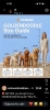 Goldendoodle prelepi štenci