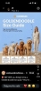 Goldendoodle prelepi štenci