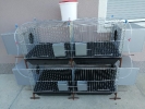 Kavezi za koke - kavezi za pilice - kavezi za  zeceve