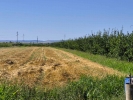 Na prodaju salaš – Rumski drum 69a, Sremska Mitrovica