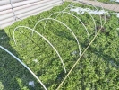 PVC cevi za plastenik